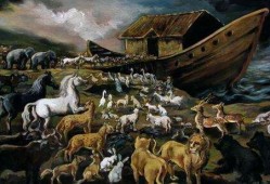 诺亚方舟在线观看,在线观看，揭秘神秘方舟的奇幻之旅