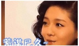 娱乐圈大爆料事件真相,揭秘幕后黑幕与真实内幕