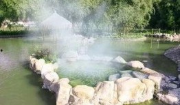 温泉热点爆料视频大全,热点爆料视频大全精彩回顾