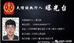 沙河最新版本爆料,全新功能与优化一览