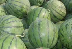 吃瓜星娱乐为什么说人类要吃盐,吃瓜星娱乐视角下的盐与人类生存之谜