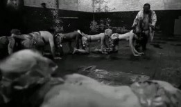 人体蜈蚣在线观看,惊悚悬疑，揭秘人体极限的恐怖实验