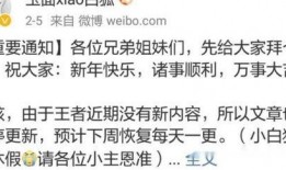 王者高管最新皮肤爆料博主,揭秘高管最新爆料，神秘皮肤即将登场！