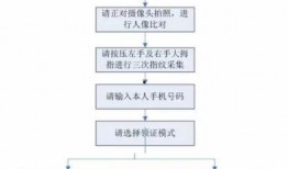 24年新瓜车最新爆料,颠覆性创新与市场新格局揭秘