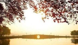 断桥爆料技巧视频大全,揭秘高效信息获取秘籍