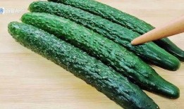 最新黄瓜爆料视频大全集,揭秘幕后真相与精彩瞬间