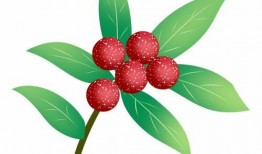 real娱乐七夕节吃瓜,明星恋情、幕后故事大揭秘