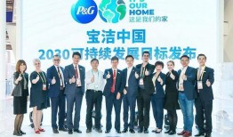 宝洁爆料护航新闻报道,揭秘新闻报道背后的故事