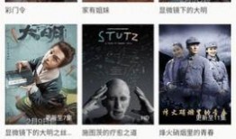 电影在线观看免费版,揭秘在线观影免费版攻略