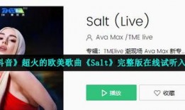 salt在线观看,探索盐文化魅力，在线观看带你领略盐的世界