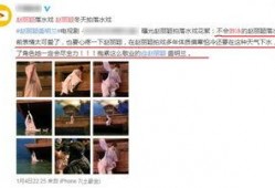 替身演员爆料视频播放下载,揭秘幕后辛酸与真实故事