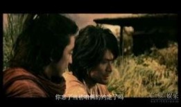 侠盗石川手机在线观看,手机在线，盗影追踪，激情四溢