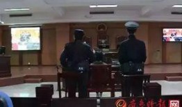 桃城学校爆料案件视频,揭秘校园疑云事件