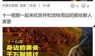 今日头条内蒙爆料,揭秘神秘事件背后的真相