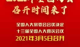 电白新闻爆料3月5号,揭秘重大事件背后的真相