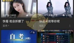 直播爆料审判案例视频,审判案例视频深度解析