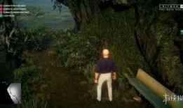 雨林爆料第二集视频播放