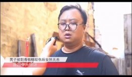 纯属娱乐爆料是什么,纯属娱乐爆料大揭秘