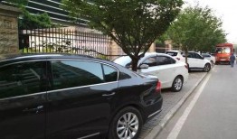 重庆停车爆料最新消息,最新爆料揭示停车难题解决方案