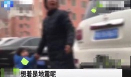 郑州七中爆料事件始末视频,真相与争议的漩涡