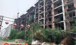 石家庄最新爆料楼在哪里,神秘高楼崛起，揭秘其神秘身份！”