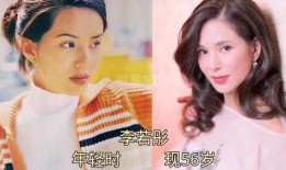 娱乐圈上半年的大爆料,真相与反转大揭秘