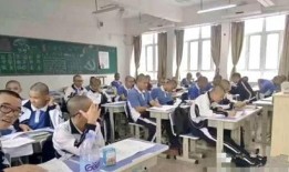 桃城学校爆料案件视频,揭秘校园疑云事件