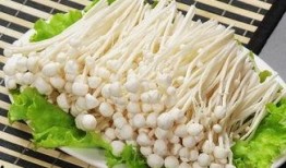 金针菇今日爆料最新视频,幕后故事与精彩瞬间