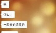 网络视频最新爆料大全,热点事件一网打尽