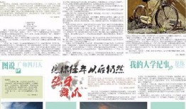 吃瓜娱乐报纸图片,吃瓜群众视角下的明星幕后故事