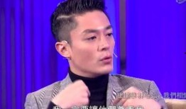 霍建华台湾爆料了吗视频,真相与争议并存