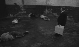 人体蜈蚣在线观看,惊悚悬疑，揭秘人体极限的恐怖实验