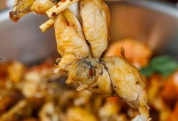 美佳加甜虾爆料视频大全,揭秘美食背后的故事