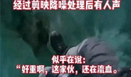 文春以往爆料事件视频全集,揭秘娱乐圈不为人知的秘密与真相