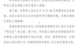 幼儿园吃饭爆料视频,温馨瞬间与成长点滴
