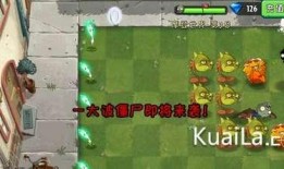 闪电芦苇最新爆料,娱乐圈最新爆料大起底