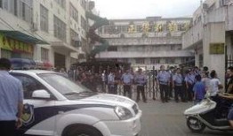浙江温州爆料新闻最新,神秘事件引发全民热议