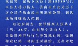 新闻爆料的报酬,揭秘巨额报酬背后的真相