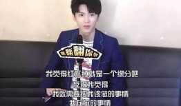 陈哲远新闻爆料,揭秘娱乐圈幕后真相