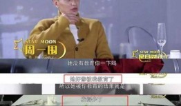 单亲家庭爆料视频,一场关于爱与挑战的纪实