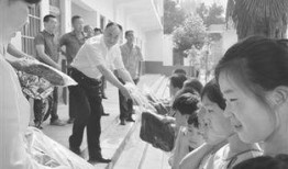 镇平农信社最新爆料,揭秘农村金融新动向